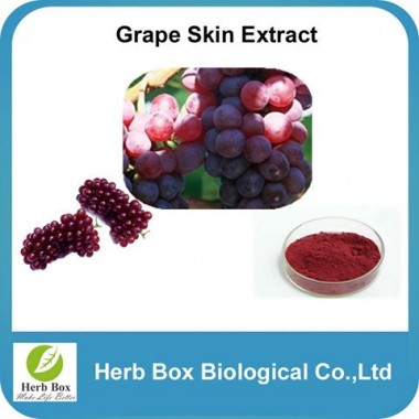 Grape Skin Extract