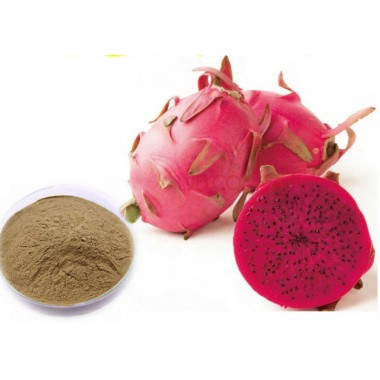 Natural Pitaya Extract Powder Fruit Extracts