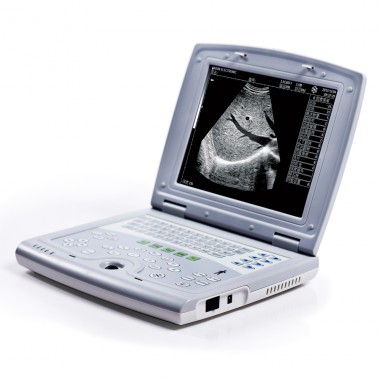 KX5000 Veterinary ultrasound for diagnostic examination