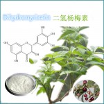 Dihydromyricetin DMY 98%,Vine extract,27200-12-0,plant extract