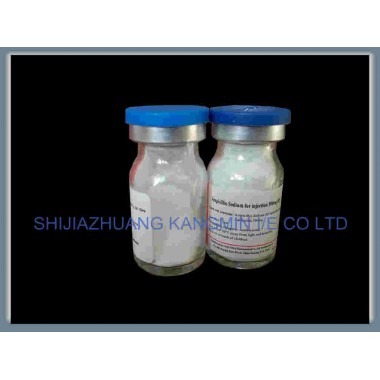 ampicilline sodium for injection