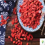 Pure Natural Wolfberry (Go Ji Berry) Powdered Extract