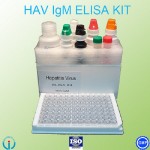 CE certification HAV Elisa test kit/Hepatitis A virus Elisa test