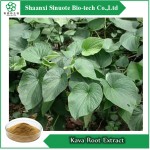 Natural Kava Root Extract / 30% Kavalactones