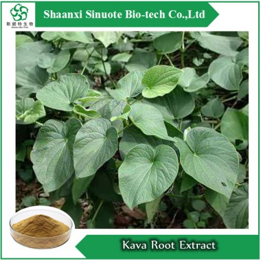 Natural Kava Root Extract / 30% Kavalactones