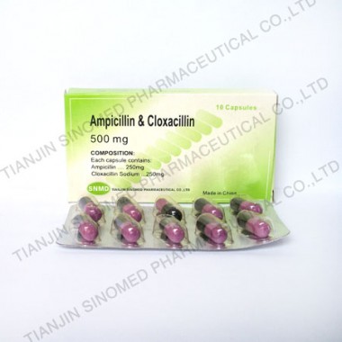 Ampicillin & Cloxacillin