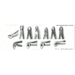 Tooth Forcep Classic Set of 11