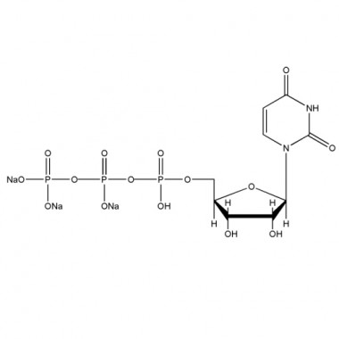 Uridine 5'-triphosphate trisodium salt (UTP-Na3, CAS No.19817-92-6)