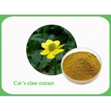 Cat 's claw Extract