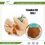 Tongkat Ali Extract Powder 
