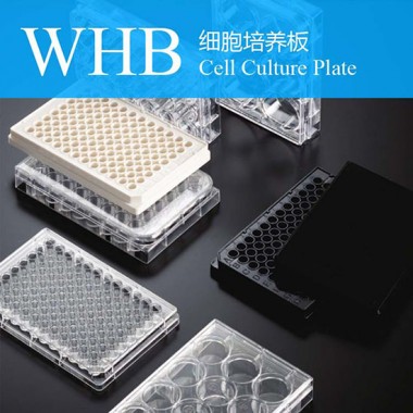Multi Wells Disposable Plastic Cell Culture Plates