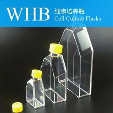 Seal / Breathable Cap Style 50 Ml / 250ml / 600ml Cell Culture Flasks